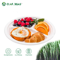 Plateau et assiette biodégradables en bagasse de canne à sucre, jetables, compostables, écologiques, sans danger pour les aliments, pour les fêtes et le camping
