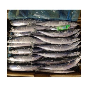 Seafood frozen saury