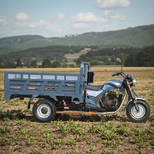 <span class=keywords><strong>Triciclo</strong></span> Motorizado/Motocicleta de Tres Ruedas a Gasolina con Caja de Carga para Ghana - Product Image 3