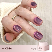 Gel magnétique œil de chat Youth Rose 30 couleurs avec pinceaux pour nail art, super brillant, à retirer par trempage, compatible UV LED, fournitures de vernis à ongles