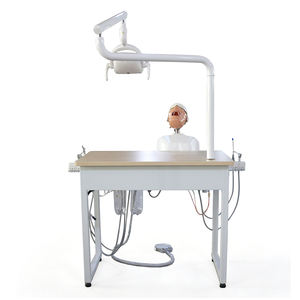Sistema di Simulazione Dentale con Manichino e Banco di Lavoro per Formazione e Pratica - Product Image 2