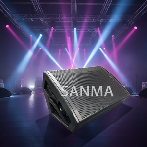 Moniteur de scène coaxial actif en bois OEM Pro Sound NX 12-SMA 12 pouces - 700W RMS, écologique et portable - Product Image 1