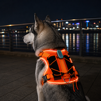 Harnais pour chien personnalisé Qcool avec LED multi-modes anti-traction et boucle métallique pour centres d'adoption animale et promenades nocturnes