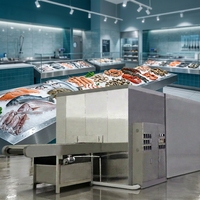 200kg/uur hoogwaardige IQF tunnelvriesmachine voor groenten, fruit en vis met luchtkoelsysteem