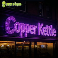 Lettres lumineuses LED personnalisées XDsign, enseigne 3D, ciel étoilé, étanche, certifiées CE, contrôle Bluetooth, décoration publicitaire captivante