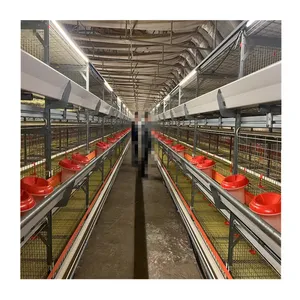 Automatic 4 Tier H Type Poultry Broiler Chicken Battery cages System Chicken H Type Broiler Growing