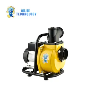 Pompe à vide solaire OJ <span class=keywords><strong>tech</strong></span> DC 2-3 pouces 36V-144V 850W 1hp pompe de surface solaire à grand débit pompe d'irrigation solaire - Product Image 4