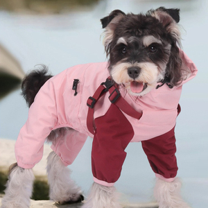 Artículos para Mascotas, Impermeable de Lujo para Perros, Diseño Personalizado, Ropa para <span class=keywords><strong>Galgo</strong></span> <span class=keywords><strong>Italiano</strong></span>, Gripper, Whippet - Product Image 2