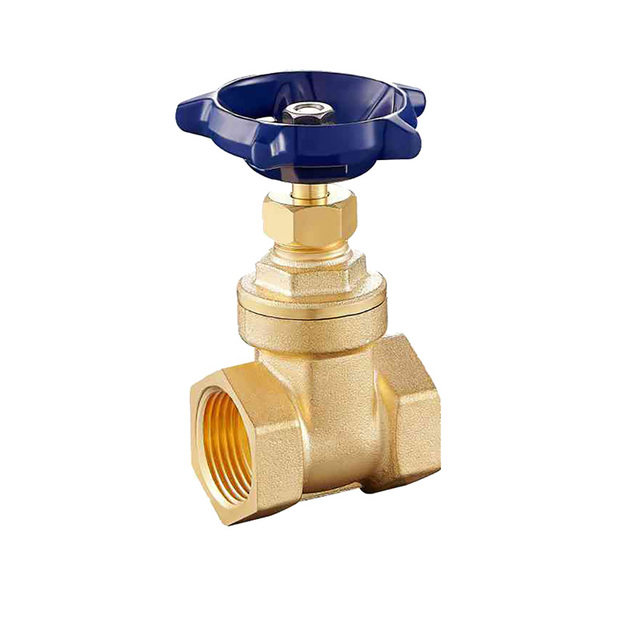 Yingfa Factory High Quality Brass Gate Valve Plated and Blue Hand Wheel Firefighting Equipment Check Valve