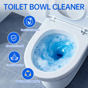 Fabrika Kalitesi Tuvalet Temizleme Efervesan Tabletleri Güçlü Şiddetli Tuvalet Lekeleri Çıkarır - Product Image 2