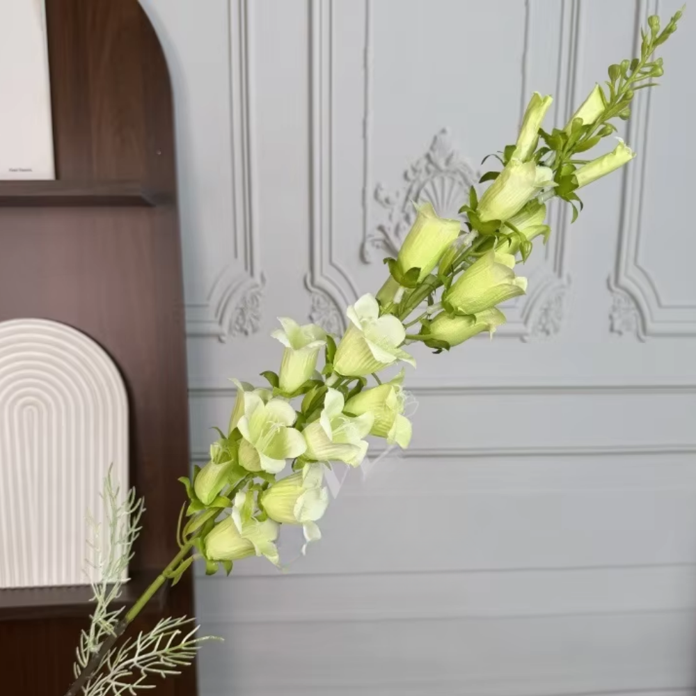 Long branch lily of the valley