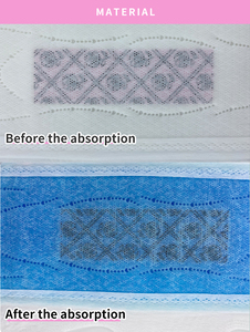 Toallas Sanitarias al por Mayor para Mujeres, Marca Anion, Uso Diurno y Nocturno, con Ajenjo, Vietnam, Ghana, Corea - Product Image 4