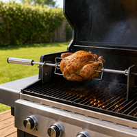 Fourchette de rôtissoire BBQ Pro