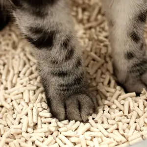 Cat Litter Bamboo Tofu Cat Litter 100% Natural And Biodegradable Quick Clumping Self-Cleaning Cat Litter OEM