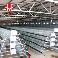 Cage à poussins de type A, système de cage galvanisée durable conçu pour les projets d'élevage de poulets, fabricant d'équipements d'élevage avicole