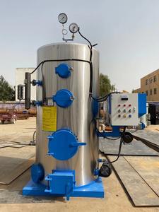 Generador de vapor industrial de doble propósito para biomasa y leña de 500-1000 kg, equipo completo - Product Image 3