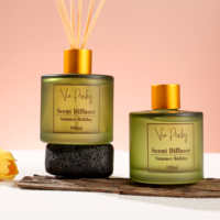 Diffuseur de parfum à bâtonnets aromatiques en gros, marque privée OEM, 100 ml, parfum d'ambiance longue durée aux huiles essentielles naturelles pour l'été