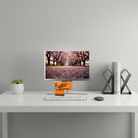 Module LCD TFT INNOLUX TN personnalisé, écran tactile capacitif de 5 pouces, résolution 800x480, circuit intégré de pilote ILI6122/ILI5960, rétroéclairage LED
