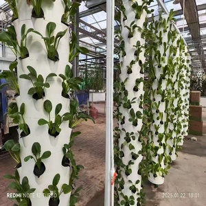 Agricoltura idroponica serra verticale aeroponica torri giardino crescente sistemi multistrato verticale aeroponica torre - Product Image 2