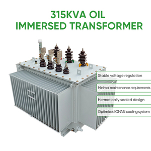 Out Door Toroidal Oil Immersed <strong>Transformer</strong> 315Kva Two Windings Power <strong>Transformer</strong> <strong>Three</strong> Phase for Industrial Use - Product Image 2