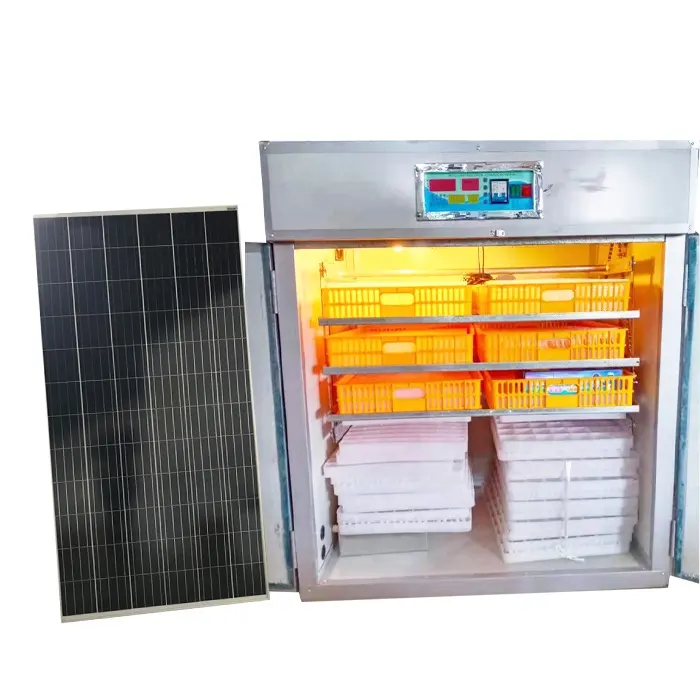 Termostato de elemento calefactor automático 528, incubadora Solar para huevos de avestruz, máquina para cría de aves de corral a la venta