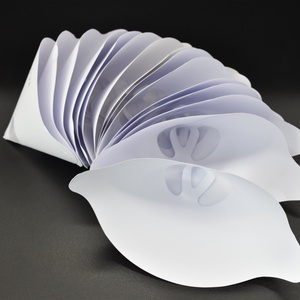 Filtres à peinture jetables en papier conique de différentes granulométries pour la peinture automobile - Product Image 4