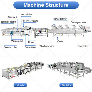 Laveuse-sécheuse de fruits et légumes HNOC pour myrtilles, légumes-feuilles et laitues – Machine de nettoyage et de séchage - Product Image 2