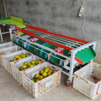Sorteer- en sorteermachine voor blauwe bessen, sinaasappels, fruit en kleine olijven/tomaten