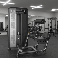 Appareil de musculation DFT-B631 pour l'extension dorsale – Équipement de sport et d'entraînement de force
