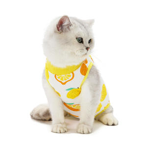 Traje de Recuperación para Perros, Anti-Lamido de Heridas, Moderno, 100% Algodón, para Verano, para el Día de San Valentín - Product Image 5