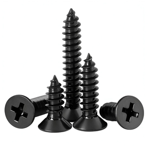 LSM nero 304 in acciaio inox <span class=keywords><strong>vite</strong></span> autofilettante <span class=keywords><strong>testa</strong></span> <span class=keywords><strong>svasata</strong></span> trasversale placcatura zinco metrica M1.7 M2 M2.6 M3 M4 <span class=keywords><strong>M5</strong></span> M6 <span class=keywords><strong>dimensioni</strong></span> <span class=keywords><strong>M5</strong></span> M6 - Product Image 1