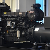Générateur diesel à châssis ouvert Shangchai, démarrage électrique CC, haute efficacité, multi-tension 50/60Hz, commande multifonctionnelle