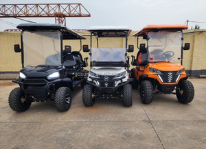 <span class=keywords><strong>Club</strong></span> Car Golf Cart nuovo modello elettrico 2 posti con diversi colori buon prezzo Gulf Cart con cruscotto Standard - Product Image 6