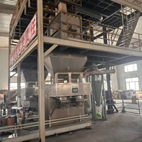 Ligne d'engrais composé NPK soluble dans l'eau automatique WSL, moteur multifonctionnel, haute efficacité, capacité de 1 à 30 tonnes/heure, 220V/380V