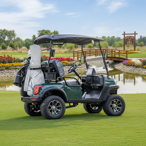 Supply Battery Driven <b>2</b>-seat Golf Buggy <b>2</b> <b>Passenger</b> Car for Resort & Residential Villa - Product Image 1