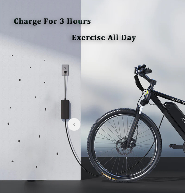 2026 Hot Selling Ebike Battery Charger And Ebike Charger 48v And 48v Ebike Battery Charger