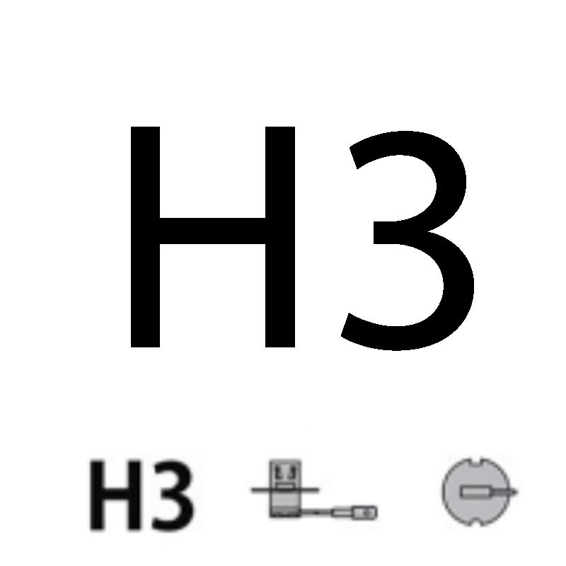 H3