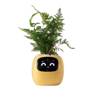 Maceta Inteligente con IA, Recordatorio de Riego, Más de 49 Expresiones, 7 Sensores, Decoración para el Hogar, Planta - Product Image 1