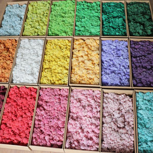 Panneau mural personnalisé en mousse de renne blanche, mousse naturelle stabilisée et préservée, pour la maison, mariage, fête des mères, Saint-Valentin, Pâques - Product Image 2