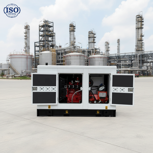 30KVA 20KW 30KW カミンズ プロパン発電機 天然ガス LPG 発電機 スタンバイ 50/60HZ 380V 440V 240V 発電機 家庭用発電機 - Product Image 1
