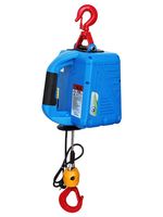 Palans électriques portables ROHO 200 kg 300 kg 500 kg 220 V à commande filaire 1500 W pour entrepôt, garage, construction, mini-grue