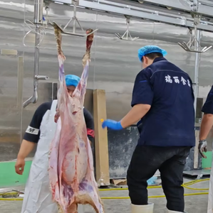 Ligne d'abattage de moutons et de chèvres entièrement automatique à haute sécurité, solution d'abattoir clé en main - Product Image 5