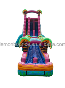 Vente flash : Toboggan aquatique gonflable géant commercial avec <span class=keywords><strong>piscine</strong></span> à jets d'eau, toboggan gonflable humide et sec adapté aux adultes et aux enfants, <span class=keywords><strong>pour</strong></span> l'extérieur - Product Image 2