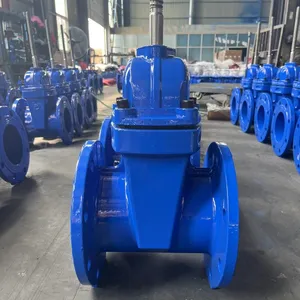 Fabricant de vannes d'usine chinois joint dur corps en fonte ductile type lourd DN300 PN16 BS vanne-vanne en caoutchouc standard