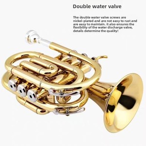 <span class=keywords><strong>Tuba</strong></span> de voyage BB en laiton laqué or, instrument de musique durable - Product Image 2