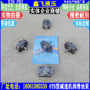 Pompe à huile de lubrification Zhangjiakou 6YB-10/5YB-10, pompe à huile de boîte de vitesses pour convoyeur à grattoir minier, boîtes de vitesses à haut rendement - Product Image 2