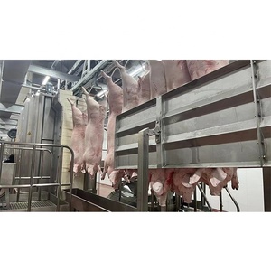 Abattoir de porc clé en main Viande de porc Boucher Abattoir Usine - Product Image 4