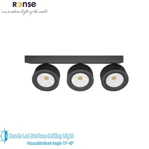 RONSE Leader Fabrikdirektlieferung 30 W neues Design Led Deckenlicht 3 Köpfe Typen Flecklicht fokussierbar Einstellung 15-40 Grad