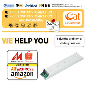 L'OEM di tendenza ha condotto la personalizzazione della fabbrica del Driver di emergenza per le fabbriche e i luoghi pubblici delle scuole leggere 5-20W - Product Image 2