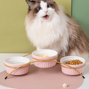 Tazones de cerámica para gatos 3 en 1, color rosa con marco dorado, para alimentar y dar de beber a las mascotas. - Product Image 1